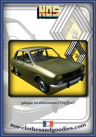 Plaque métal décorative Renault 12 verte