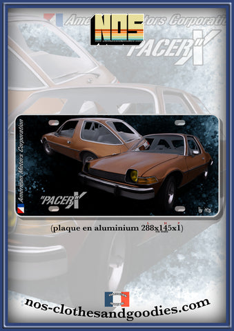 plaque métal type immatriculation us AMC Pacer X brown