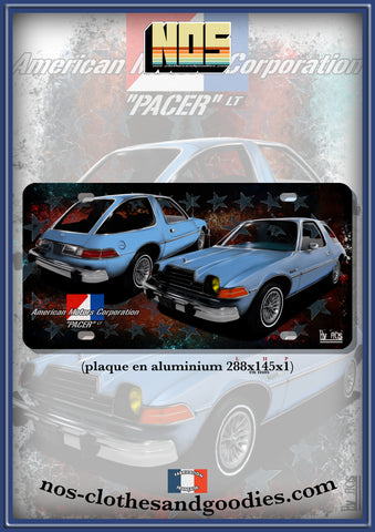 plaque métal type immatriculation us AMC PACER LT 1980 bleue av/ar