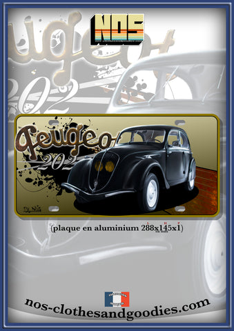 aluminum plate us registration Peugeot 202 black