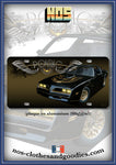 plaque métal type immatriculation US Pontiac firebird trans Am B