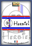 Plaque méta type immatriculation us VW cox  53 Herbie